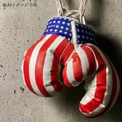 【本格紐式】ボクシンググローブ 10oz 星条旗 アメリカ国旗 練習 インテリア