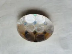 貝殻の小皿
