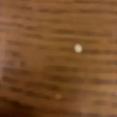 さん専用