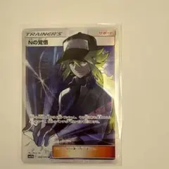 Nの覚悟 SR SM11b ドリームリーグ 066/049