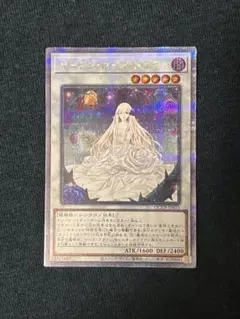 ARS10+ 世界に12枚 ガーデン・ローズ・メイデン 25th Amazon.co.jp: 遊戯王カード ガーデン・ローズ・メイデン(25th