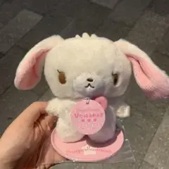 しろうさ　ぴたっとふれんず シュガーバニーズ　サンリオ