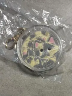 猫は液体　２　サビ猫　フロッキーマスコット