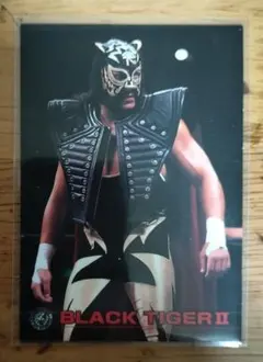 2026年最新】ブラックタイガー プロレスの人気アイテム - メルカリ