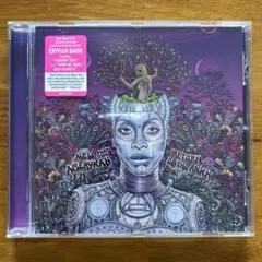 Erykah Badu NEW AMERYKAH Part Two