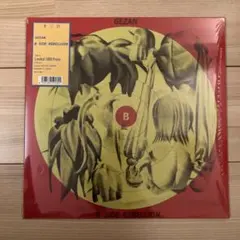 GEZAN DNA レコード OTS-162_h4.jpg