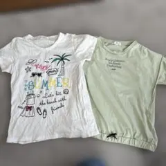 ALGY 半袖Tシャツ　２枚セット サイズ白ティー150 黄緑140