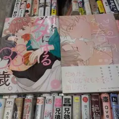 4商業 BL 2冊で 680円までのセットでしたら3組同梱で1200円
