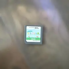 おいでよ どうぶつの森 Nintendo DS