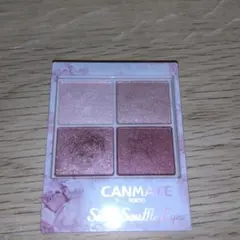 CANMAKE シルキースフレアイズ 06