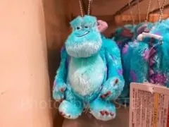 東京ディズニーリゾート サリー ぬいぐるみ 約20cm