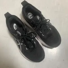 Gel Kayano 31