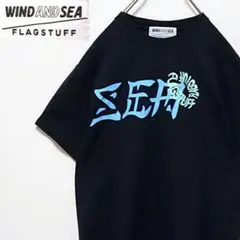 希少 ウィンダンシー フラグスタフ コラボ 両面 ロゴ 半袖 Tシャツ