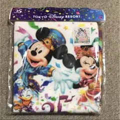 値引き　ディズニーリゾート 35周年限定 タオル