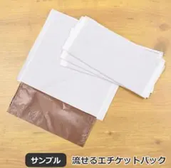 Item thumbnail for item 7bfb37c5-5821-460e-b5ca-1188e86f8442