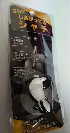 【新品】さらにしあがってるシャチ　須磨シーワールド　岩本照　スノーマン