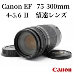 7月15日限定特価【超望遠レンズ】Canon EF 75-300mm Ⅱ - メルカリ