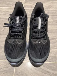 Item thumbnail for item a946d772-51b7-4986-ad02-ea7119b8a3d6