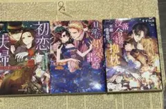 【値下げしました】ティーンズラブ TL小説 3冊セット