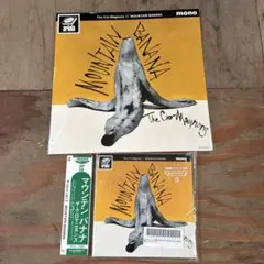 2026年最新】クロマニヨンズの人気アイテム - メルカリ