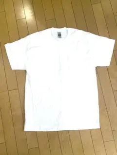 Item thumbnail for item 07d9eb79-c609-4e6d-aebe-7ffc099b8c3e