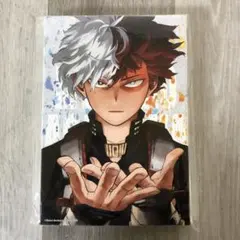 333 僕のヒーローアカデミア ヒロアカ 轟焦凍　フルカラーアートボード