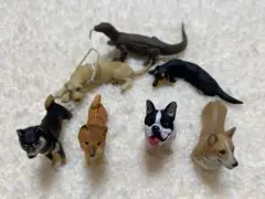 海洋堂　チョコQ 犬　その他