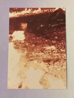 bts 写真集 weverse 特典 we ポストカード j-hope ホソク