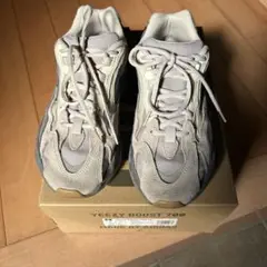 YEEZY BOOST 700 グレー