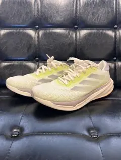 Item thumbnail for item 217186bf-2942-42ca-8e6a-080d922fc750