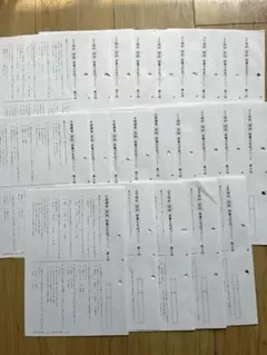 SAPIX 3年生　フルセット+夏期講習+冬期講習+年間学習法付き サピックス小3夏期講習の全容振り返り | ＜いくじでーた＞中学受験を