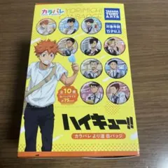 アニメ ハイキュー カラパレ より道 缶バッジ 全種類 コンプ BOX