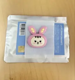 miniteen ミニティーン ジョントラム ジョンハン マグネット ラキドロ