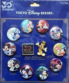 東京ディズニーリゾート 30周年　カンバッジセット　ピンバッジ付き