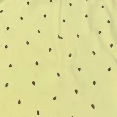 ニット生地AOのサムネイル