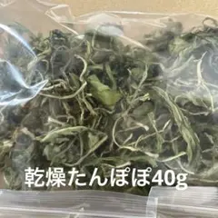 Saize様 リクエスト 2点 まとめ商品