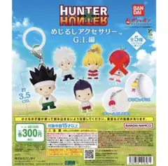 HUNTER×HUNTER めじるしアクセサリー G.I編 セミコンプ