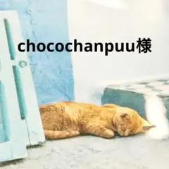 chocochanpuu様 リクエスト 2点 まとめ商品
