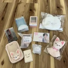 StrayKids スキズ アイエン フォクシニー グッズ まとめ売り セット