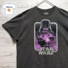 STAR WARS　スターウォーズ　ダース・ベイダー　ルーク・スカイウォーカー