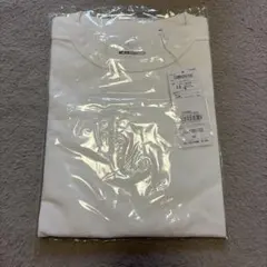 Mizuno ソフトドライTシャツ Mサイズ 32MA86051902