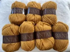 Item thumbnail for item ede1441a-44f7-488d-9d5d-7b10b16c5008