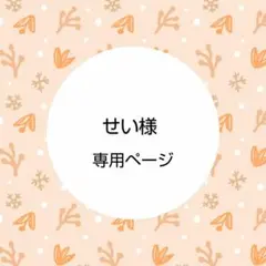せい様専用 ハンドメイド着せ替え服