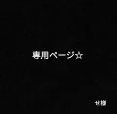 専用ページ☆　　せ様