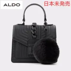【値下げ可能】ALDO Minijerilini 2WAYスクエアフラップバッグ