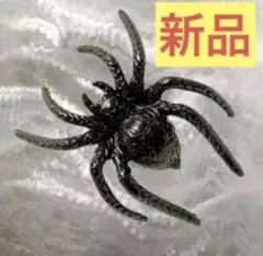 Item thumbnail for item c036ccad-9247-4b56-a168-41979674defb