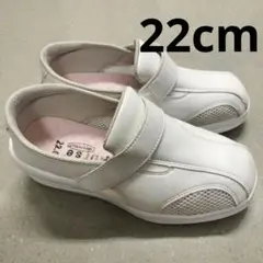 Item thumbnail for item b0a1f5d5-f844-4c79-a009-b9c4cb3a4d1d