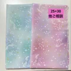 Item thumbnail for item 2f40c4ae-0c31-4bfe-810d-b2b52320fe63