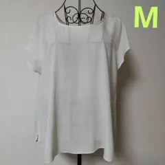 Item thumbnail for item 4af201de-c494-4552-b65c-7ce9e3c446b7