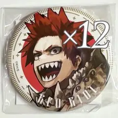 切島鋭児郎　ヒロアカ　全サ　新十傑　全員サービス缶バッジ　僕のヒーローアカデミア